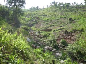 Realizzazione acqua a Kimbulu Butembo 017