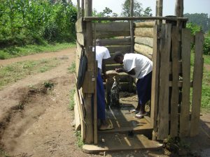 Realizzazione acqua a Kimbulu Butembo 018