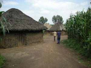 Realizzazione acqua a Kimbulu Butembo 021